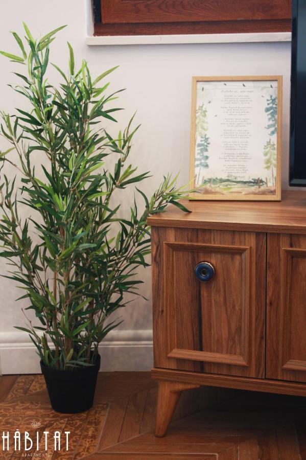 רוסה Habitat Central Apartment מראה חיצוני תמונה